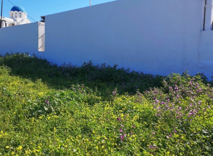 Οικόπεδο 318τ.μ. προς πώληση