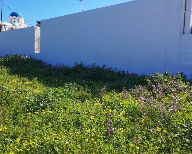 Οικόπεδο 318τ.μ. προς πώληση
