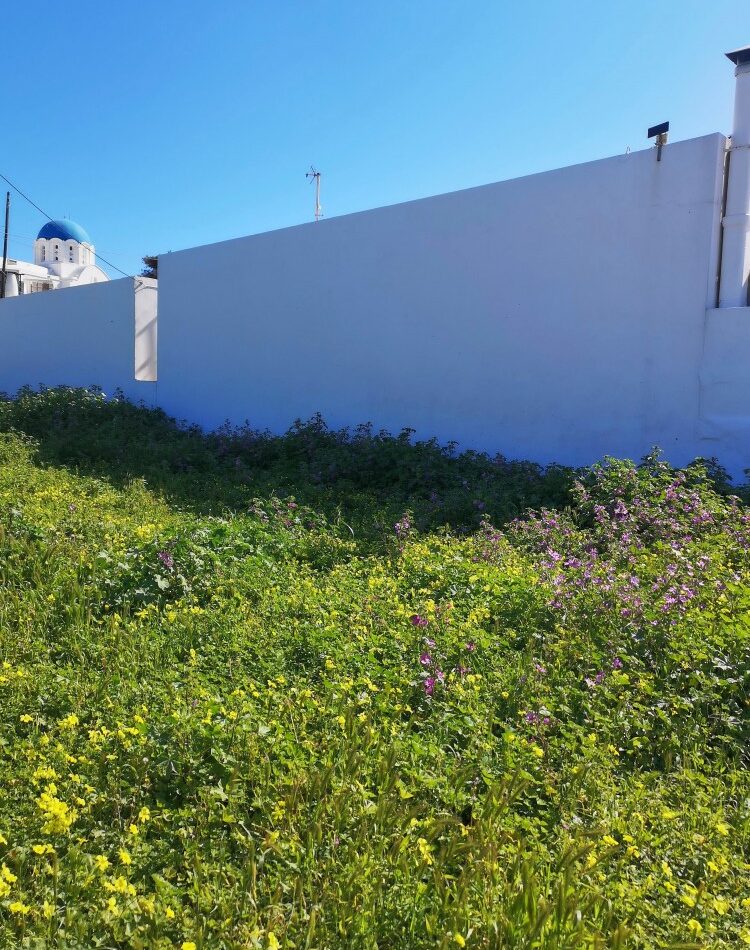 Οικόπεδο 318τ.μ. προς πώληση