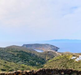 Αγροτεμάχιο 37000τ.μ. προς πώληση