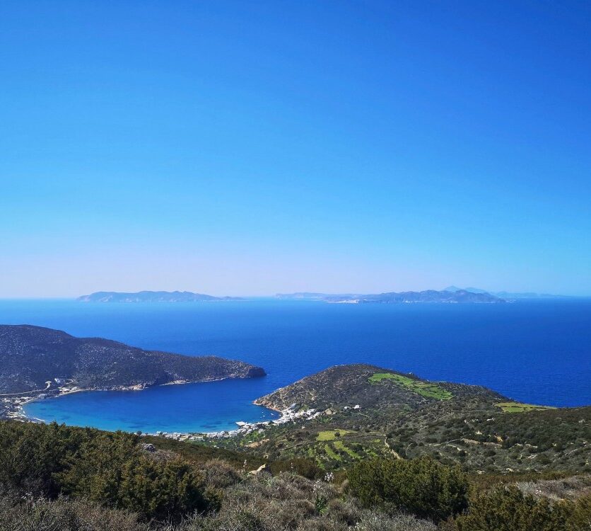 Αγροτεμάχιο 21623τ.μ. προς πώληση
