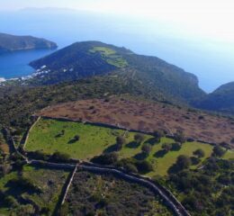 Αγροτεμάχιο 33000τ.μ. προς πώληση