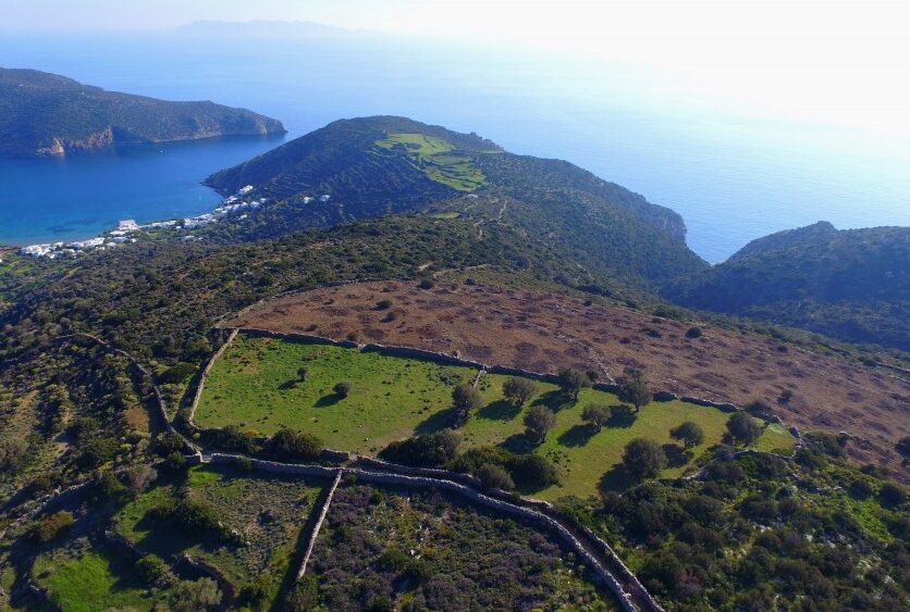 Αγροτεμάχιο 33000τ.μ. προς πώληση