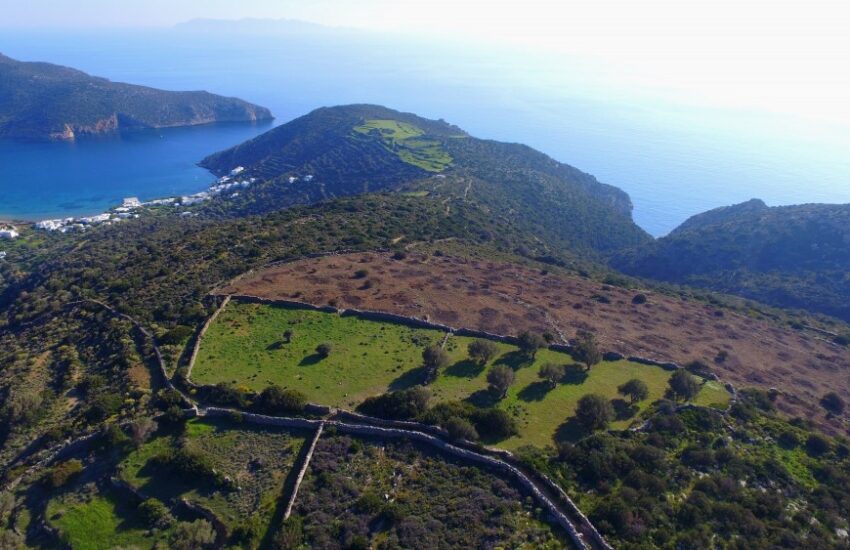 Αγροτεμάχιο 33000τ.μ. προς πώληση