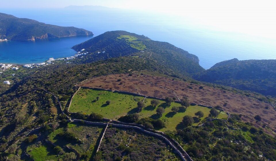 Αγροτεμάχιο 33000τ.μ. προς πώληση