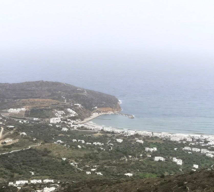 Αγροτεμάχιο 20000τ.μ. προς πώληση