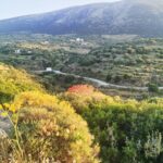 Αγροτεμάχιο 2500τ.μ. προς πώληση