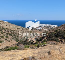 Αγροτεμάχιο 10798τ.μ. προς πώληση