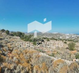 Αγροτεμάχιο 10421τ.μ. προς πώληση