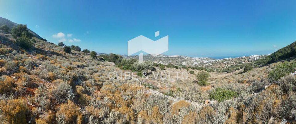 Αγροτεμάχιο 10421τ.μ. προς πώληση