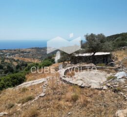 Αγροτεμάχιο 6000τ.μ. προς πώληση