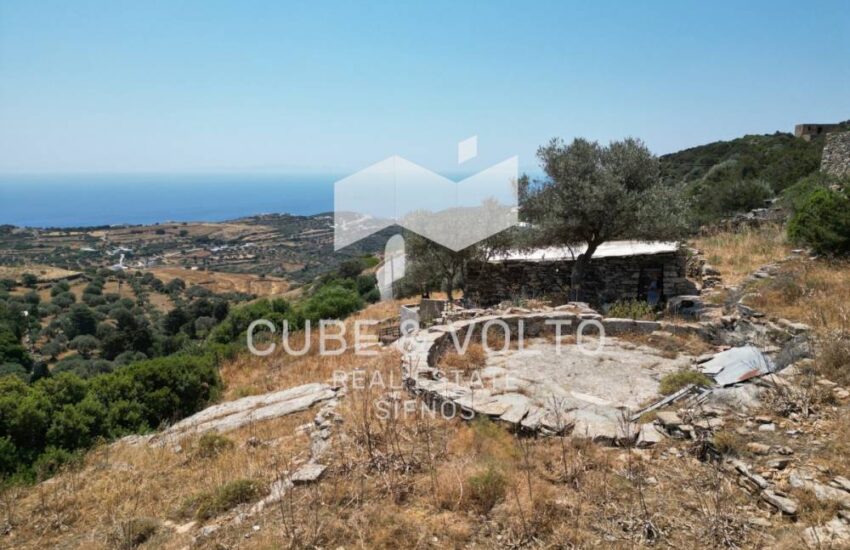 Αγροτεμάχιο 6000τ.μ. προς πώληση