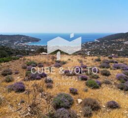 Αγροτεμάχιο 39876τ.μ. προς πώληση