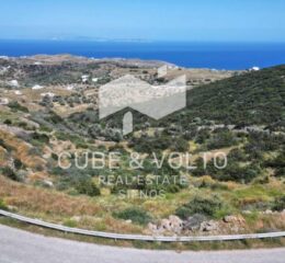 Αγροτεμάχιο 5466τ.μ. προς πώληση