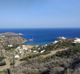 Αγροτεμάχιο 4338τ.μ. προς πώληση